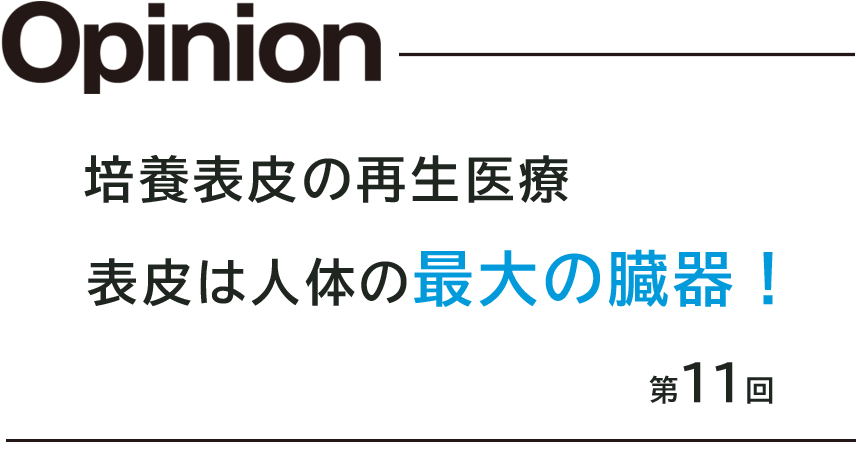 第11回 培養表皮の再生医療ーその１ 表皮は人体の最大の臓器！