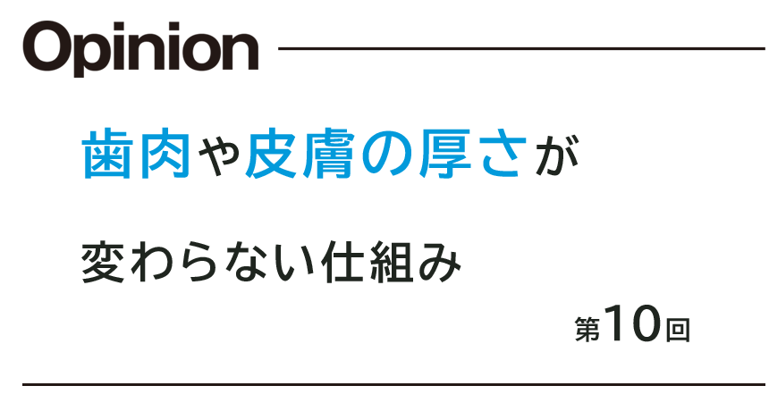 第10回 歯肉や皮膚の厚さが 変わらない仕組み